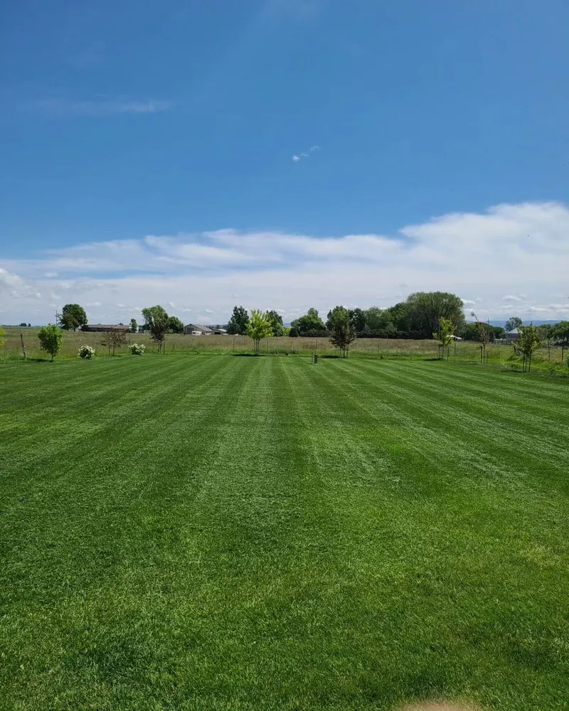 Expert landscape installation experts serving Firth, ID - G&G Lawn Care