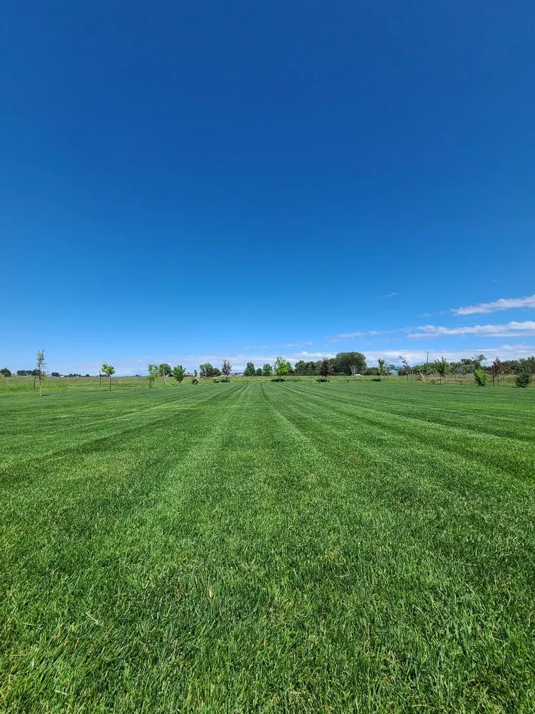 Expert lawn mowing service for residential properties across Firth, ID - G&G Lawn Care