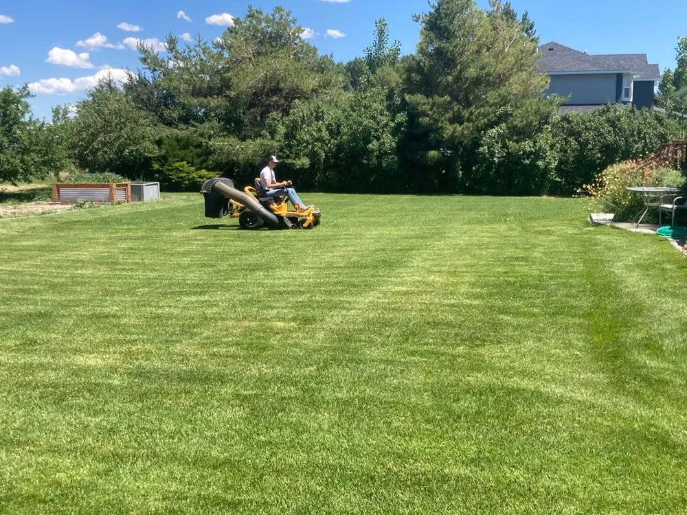 Custom yard cleanup service experts serving Firth, ID - G&G Lawn Care