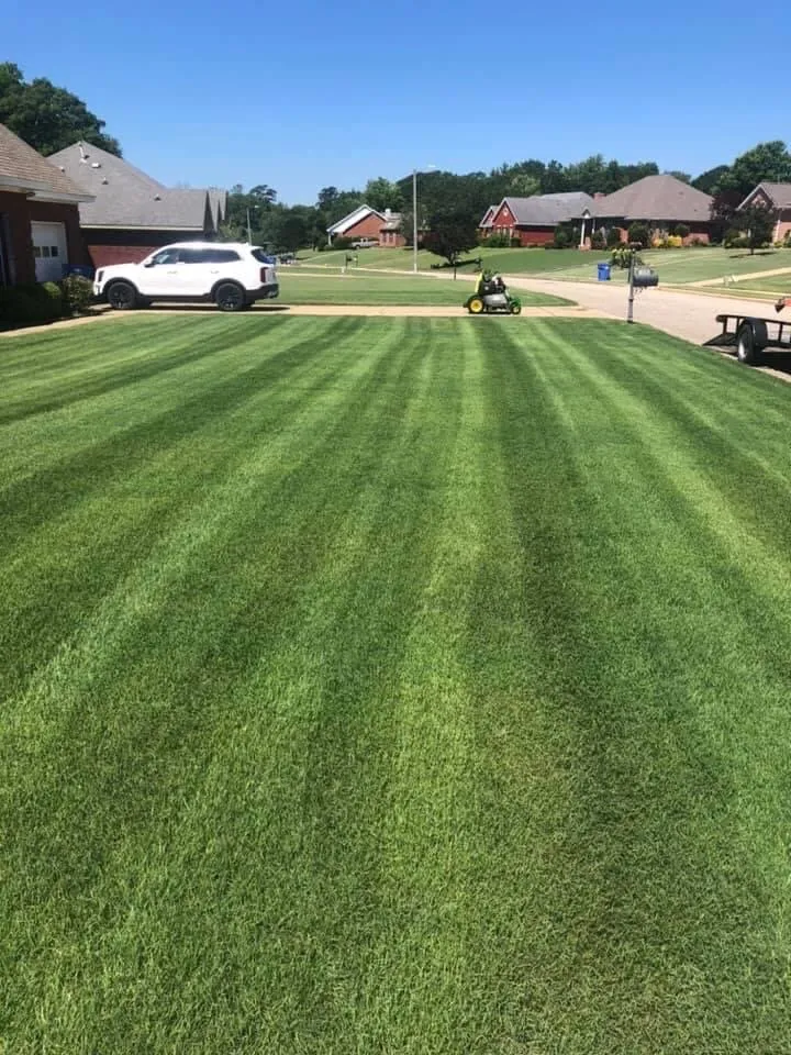 Professional yard cleanup service for outdoor upgrades in Prattville, AL by G&G Lawn Care
