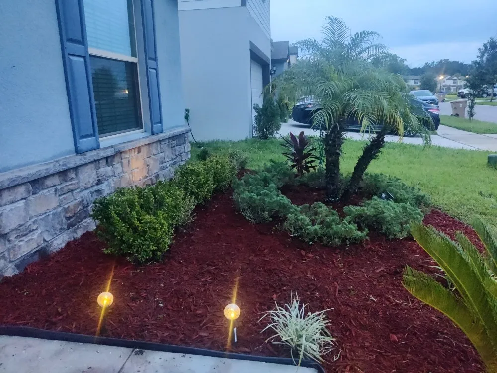 Top-rated yard cleanup service experts serving Kissimmee, FL - G&G Lawn Services and More