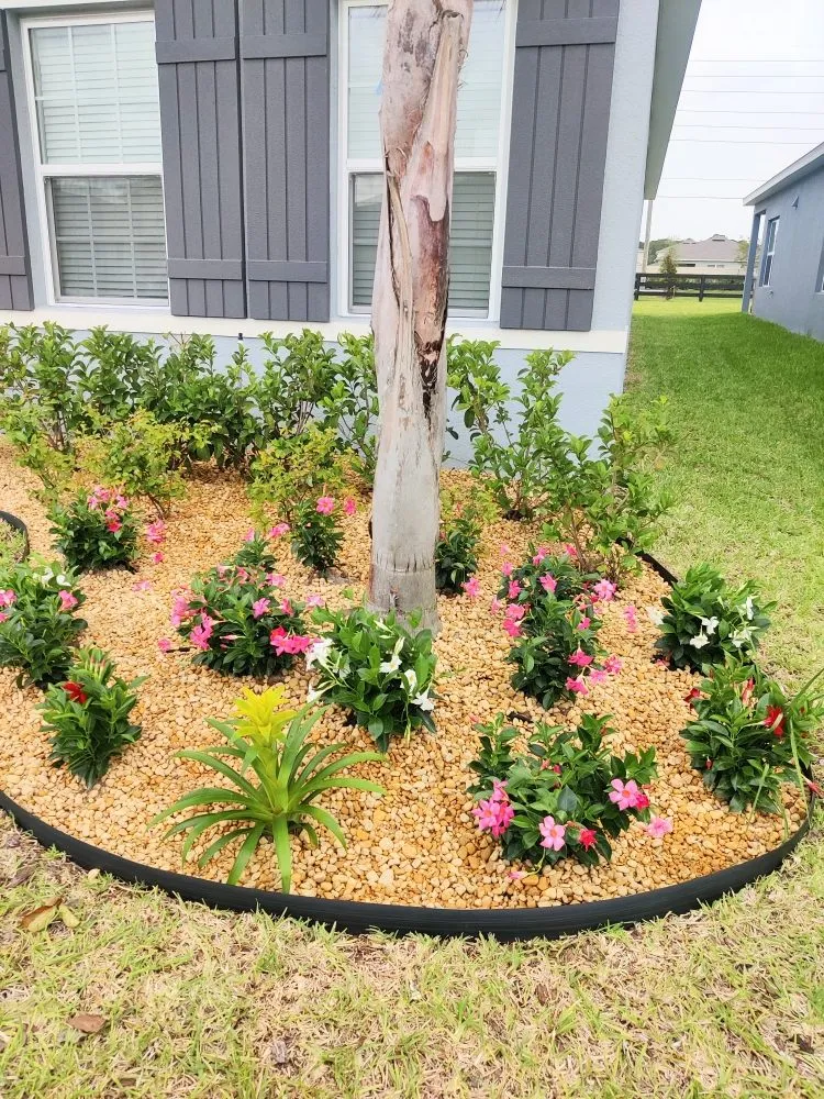 Professional landscape installation with custom design in Kissimmee, FL by G&G Lawn Services and More