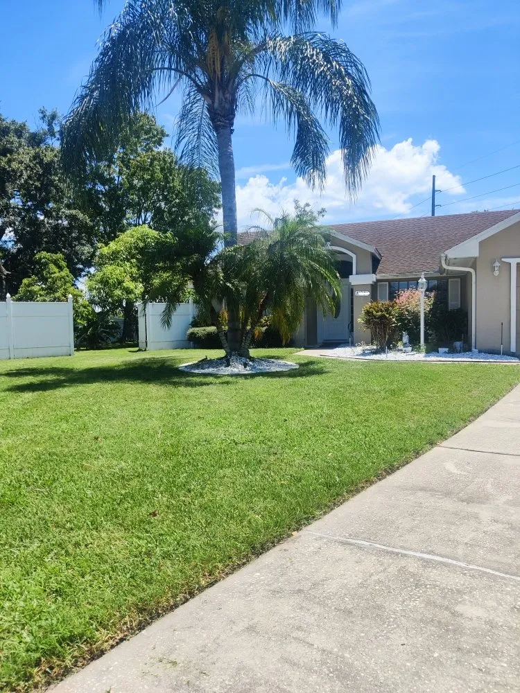 Top-rated outdoor landscaping experts serving Kissimmee, FL - G&G Lawn Services and More