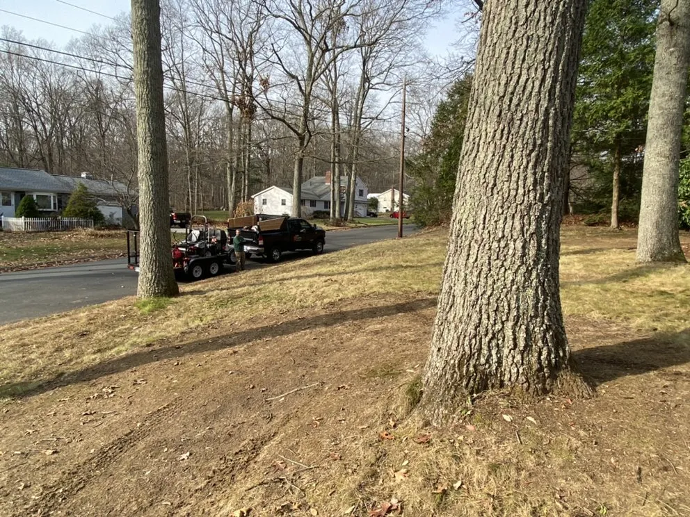 Local residential landscaping for residential properties across Tolland, CT - G&G Property Services