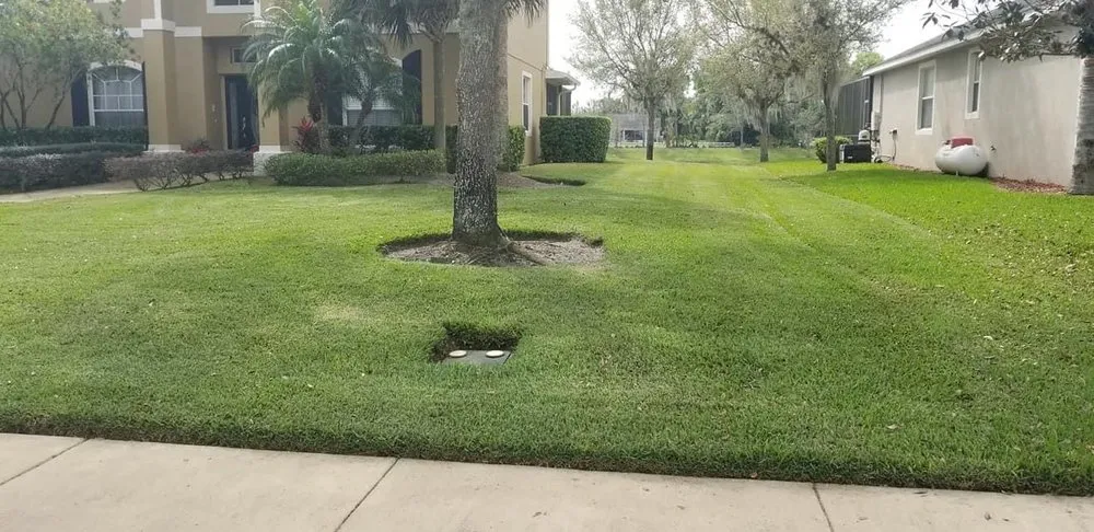 Local landscape installation experts serving Mount Dora, FL - GGA Concrete