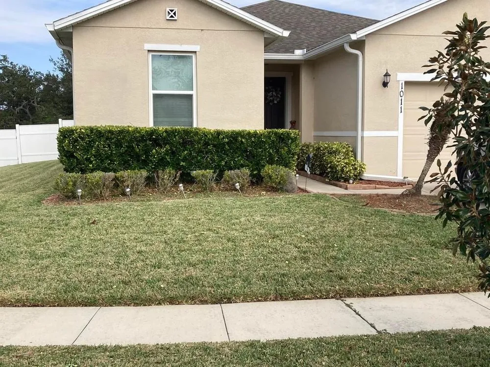 Professional yard maintenance in Mount Dora, FL - GGA Concrete