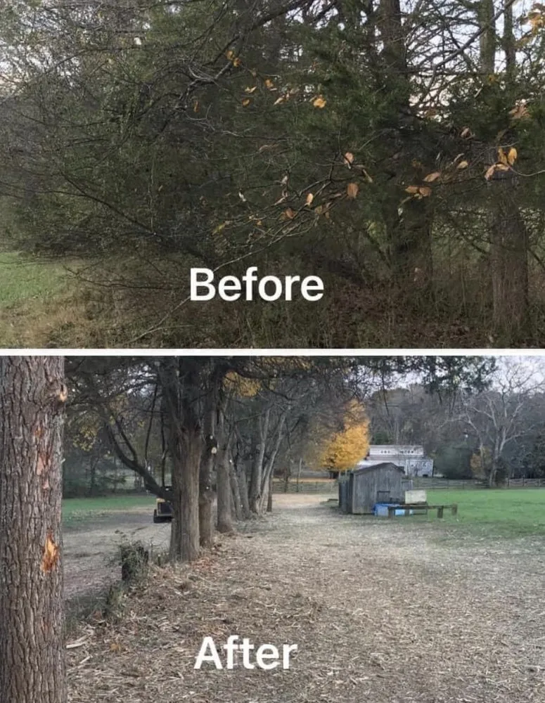 Affordable lawn care service for homes in Boerne, TX by GGB Environmental