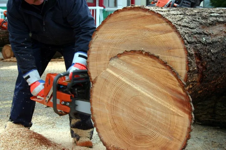 Trusted garden landscaping for homes across Gainesville, TX - GGE Tree Service