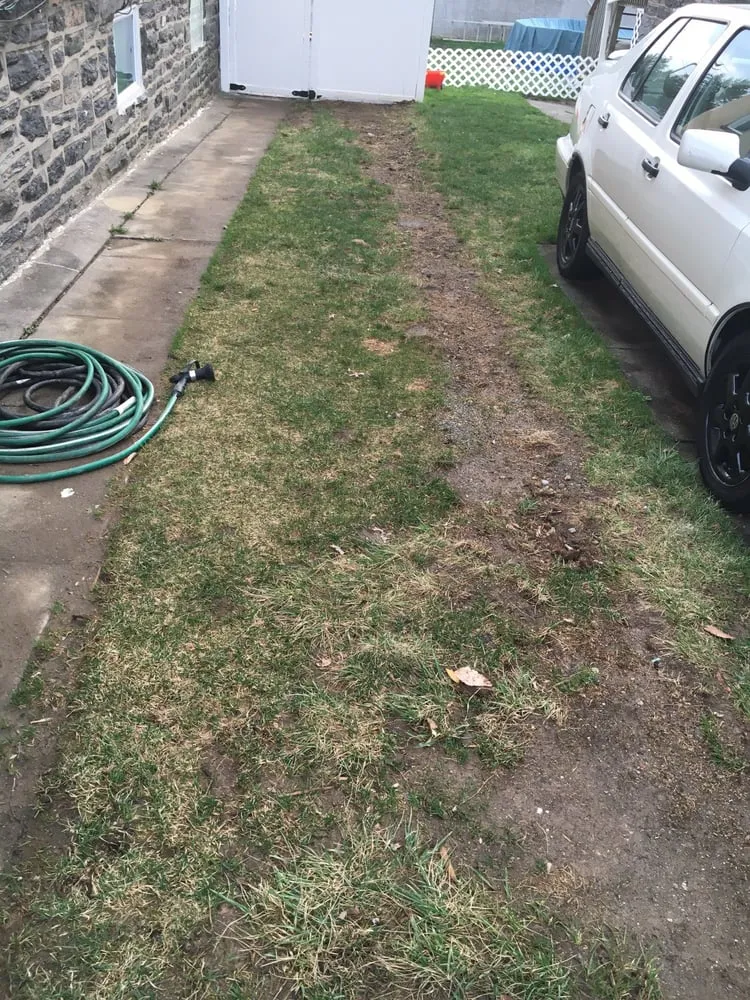 Trusted yard cleanup service in Flourtown, PA by GGF Landscape Group LLC