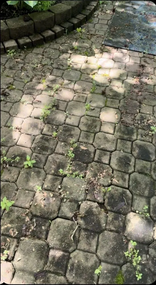 Professional landscape design in Chicago, IL - GGG All Exterior Services