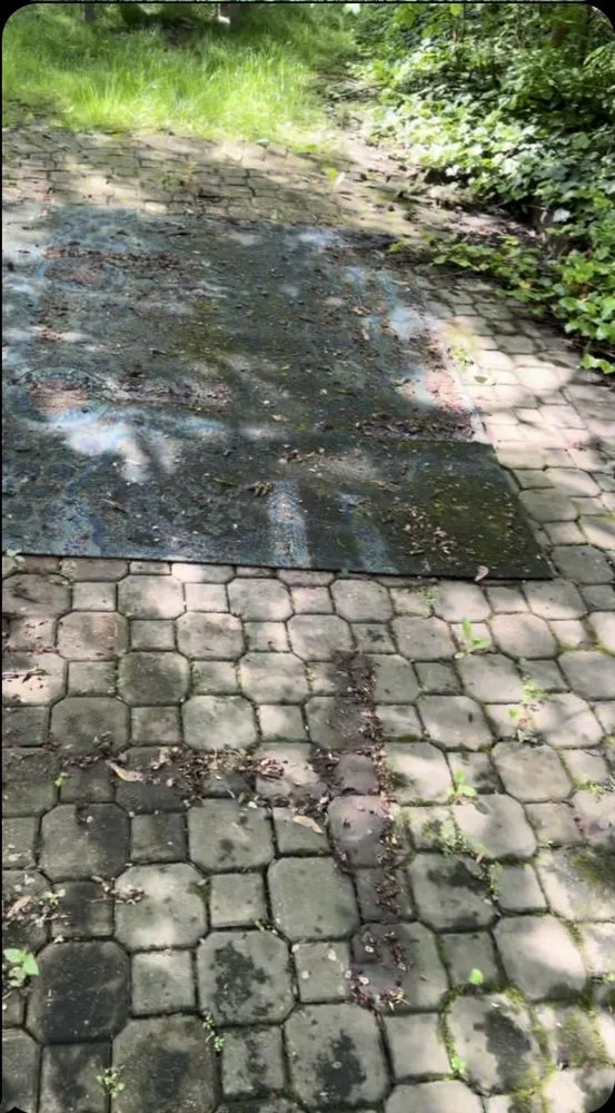 Reliable yard maintenance near you in Chicago, IL by GGG All Exterior Services