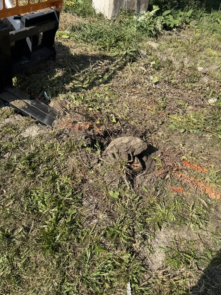 Reliable lawn mowing service experts serving Chicago, IL - GGG All Exterior Services