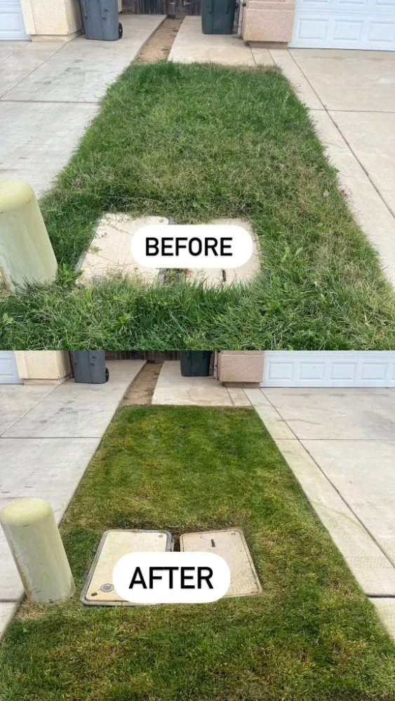 Expert yard cleanup service for homes across Fresno, CA - GGG Gardening and Landscaping