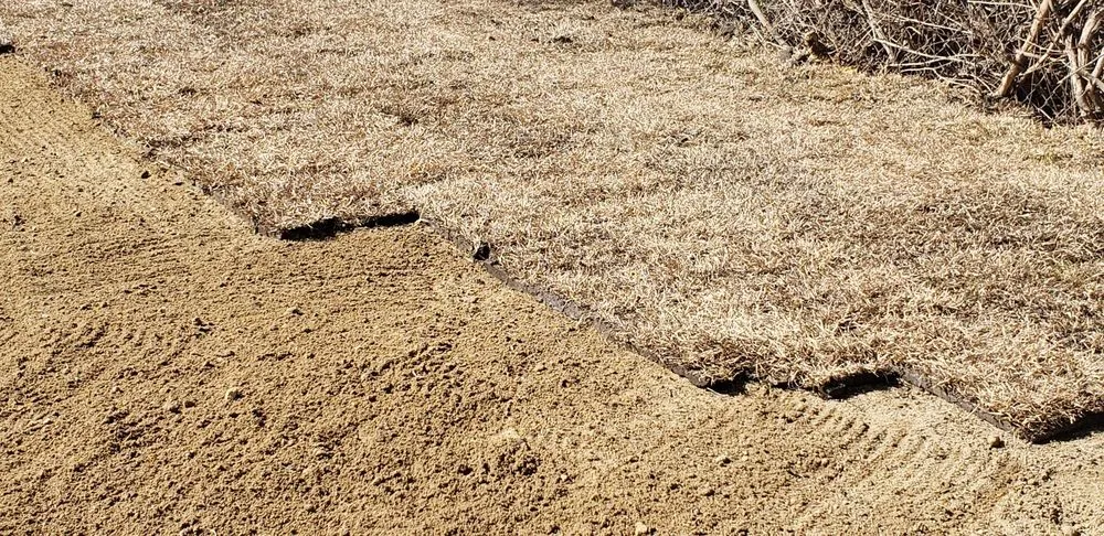 Custom landscape design in Fayetteville, NC by GGG Landscaping and Tree service