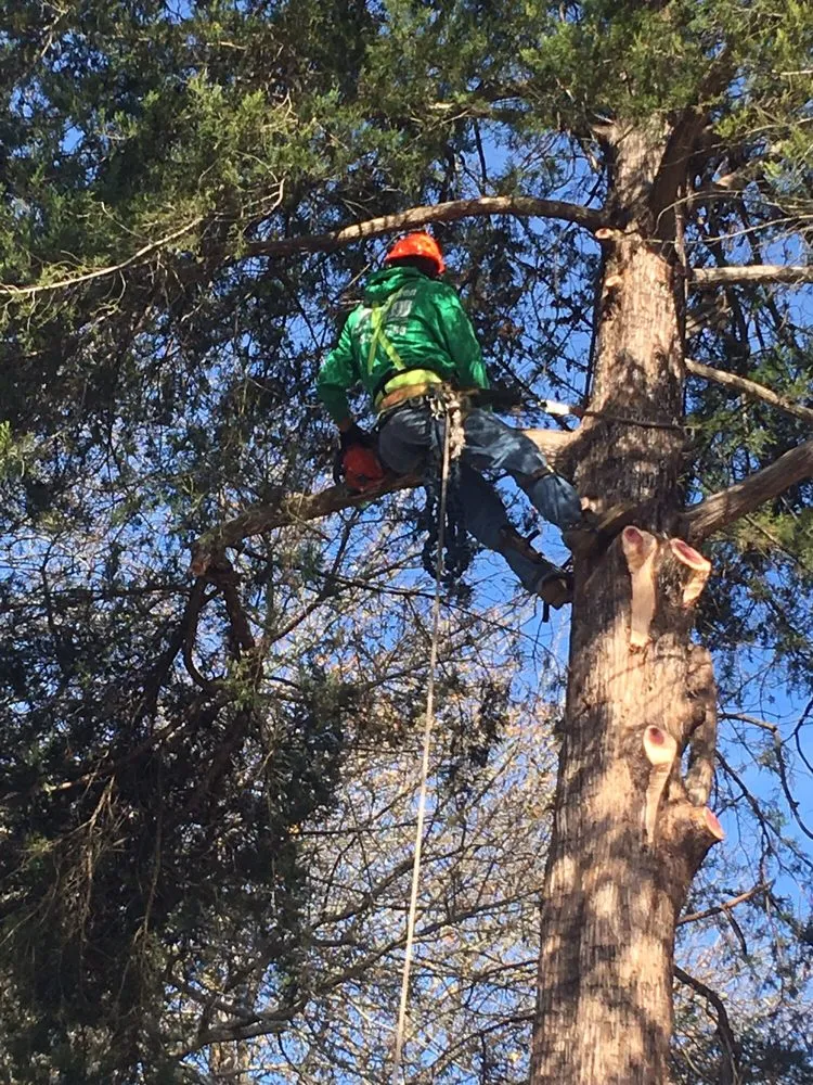 Trusted landscaping services for residential properties across Fayetteville, NC - GGG Landscaping and Tree service