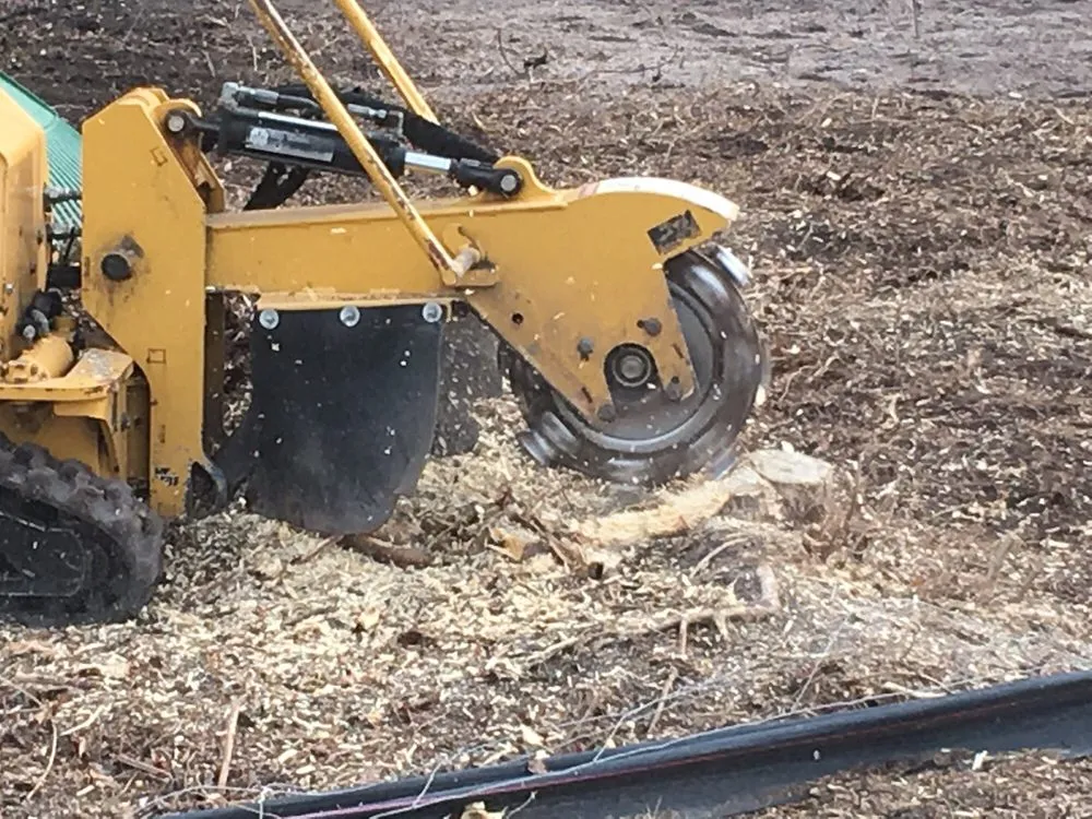 Top-rated outdoor landscaping for homes in Fayetteville, NC by GGG Landscaping and Tree service