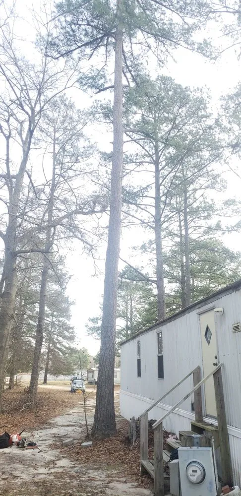 Reliable yard maintenance with custom design across Fayetteville, NC - GGG Landscaping and Tree service