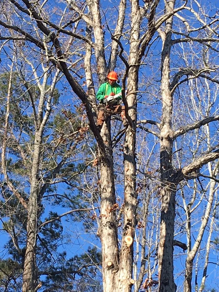 Affordable lawn care service experts serving Fayetteville, NC - GGG Landscaping and Tree service