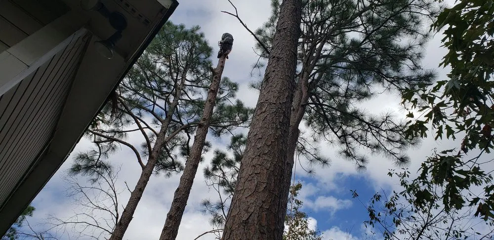 Trusted outdoor landscaping in Fayetteville, NC by GGG Landscaping and Tree service