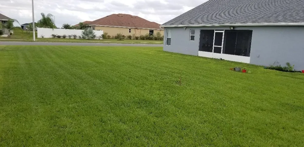 Affordable residential landscaping in Kissimmee, FL by GGL Landscaping