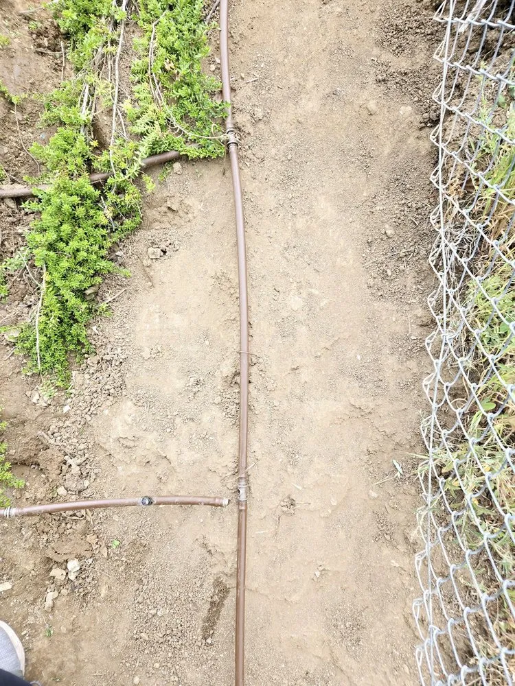 Custom lawn care service experts serving Santa Clarita, CA - GG’s Landscape