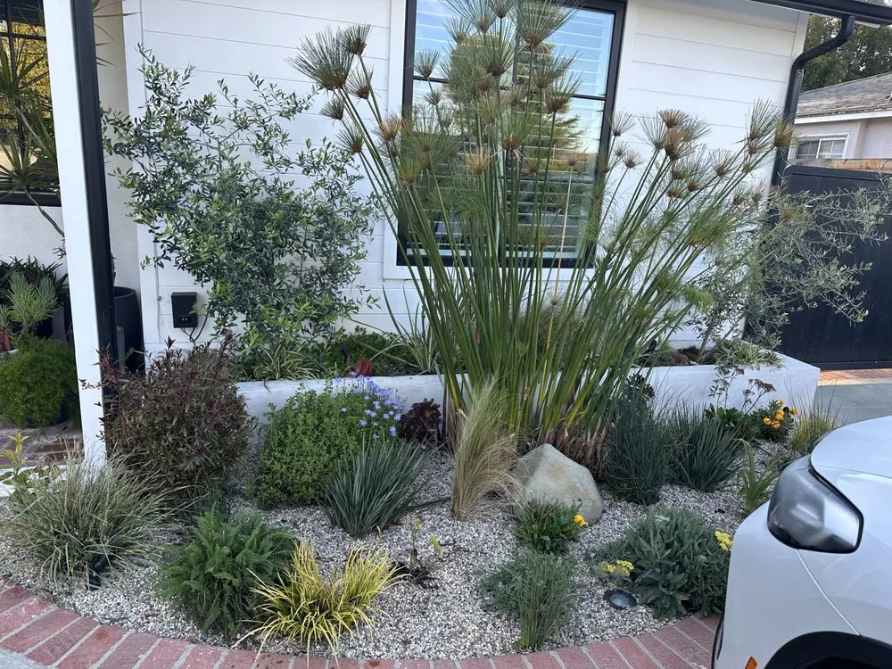 Trusted residential landscaping in Santa Clarita, CA by GG’s Landscape