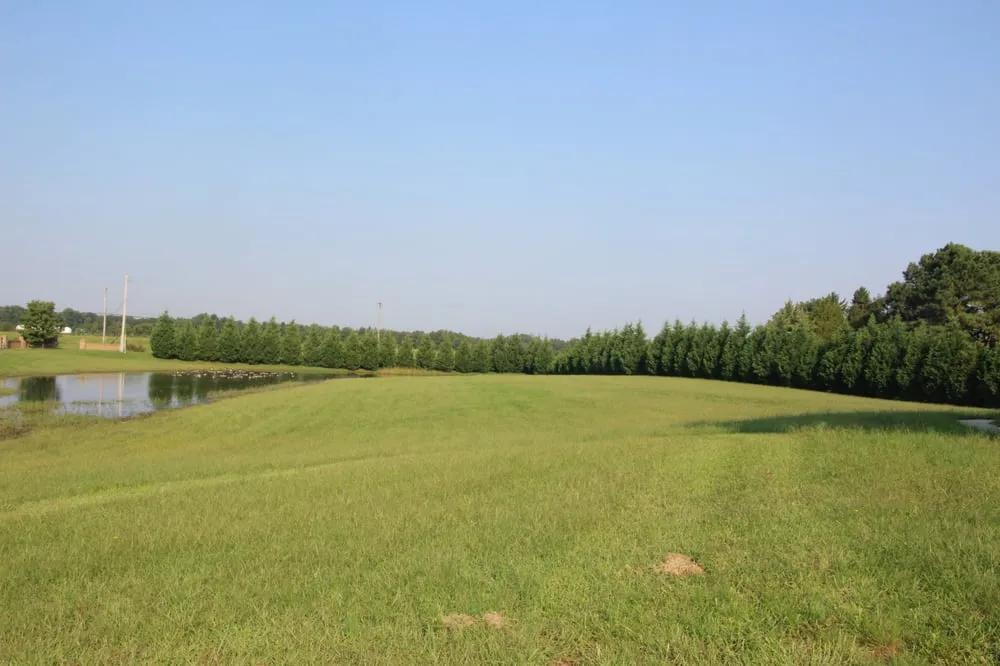 Trusted yard cleanup service with custom design across Townsend, DE - GGS Tree & Lawn Services