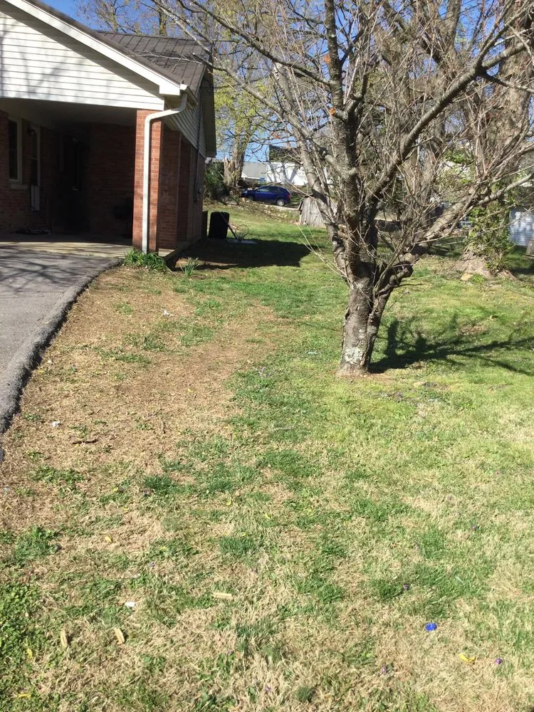 Local lawn care service near you in Glasgow, KY by G&H Affordable Lawn Care