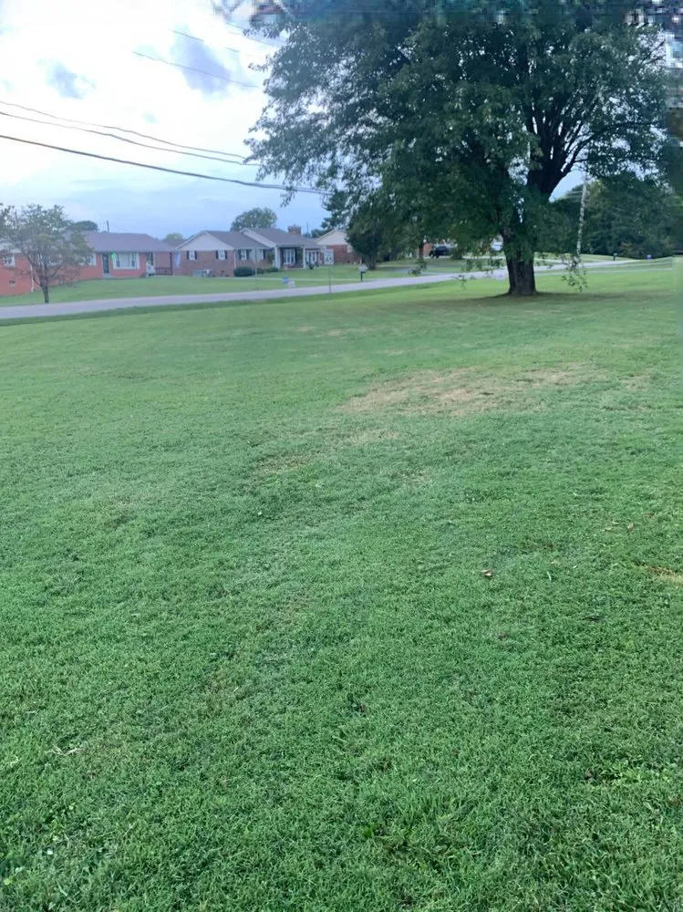 Trusted landscaping services in Glasgow, KY by G&H Affordable Lawn Care