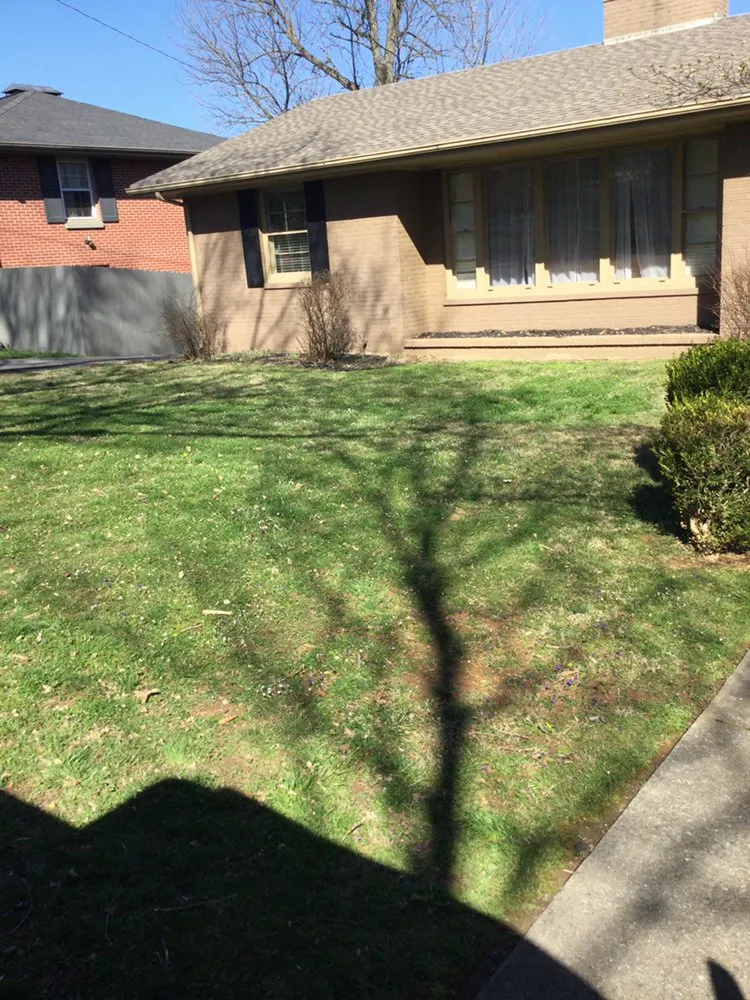 Local yard cleanup service experts serving Glasgow, KY - G&H Affordable Lawn Care