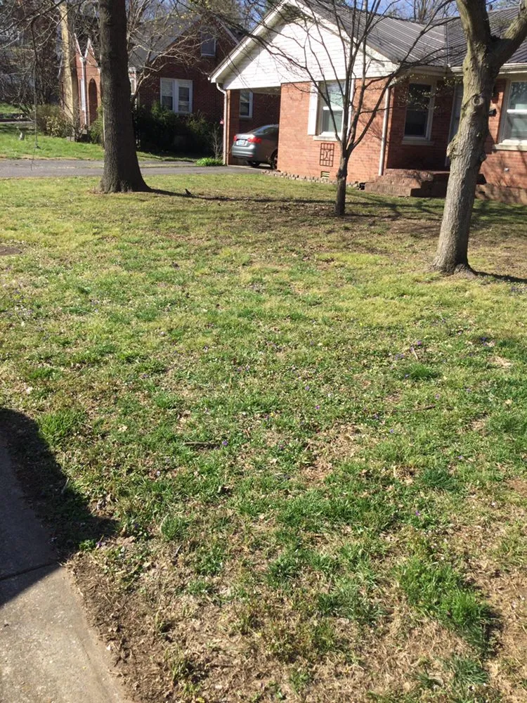 Local lawn care service for residential properties across Glasgow, KY - G&H Affordable Lawn Care