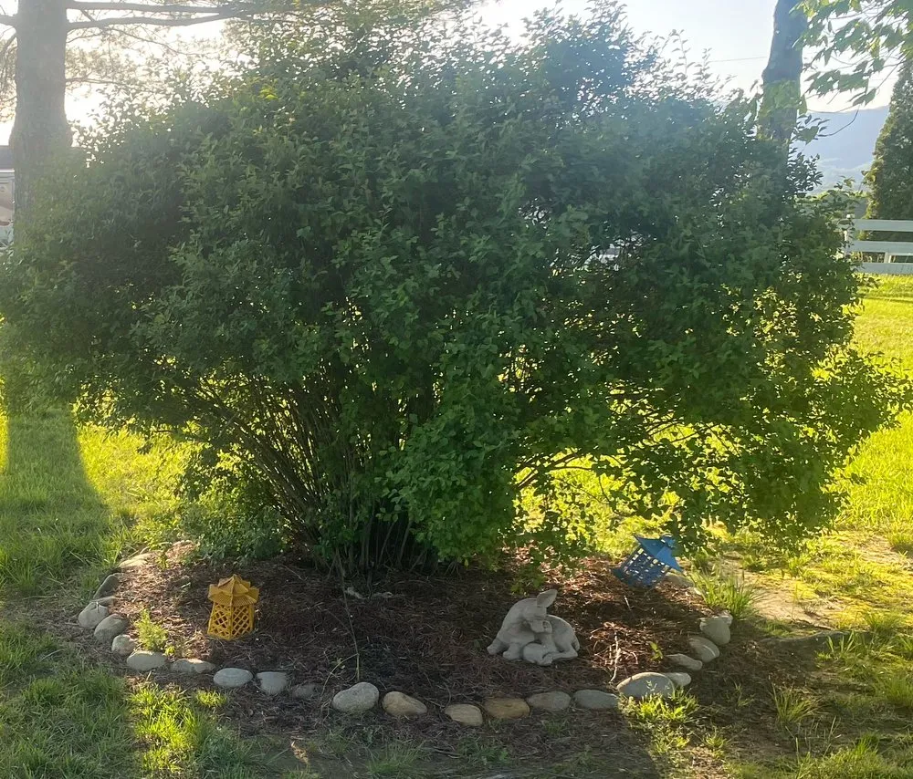 Trusted outdoor landscaping in Bryson City, NC by GH Cleaning and More