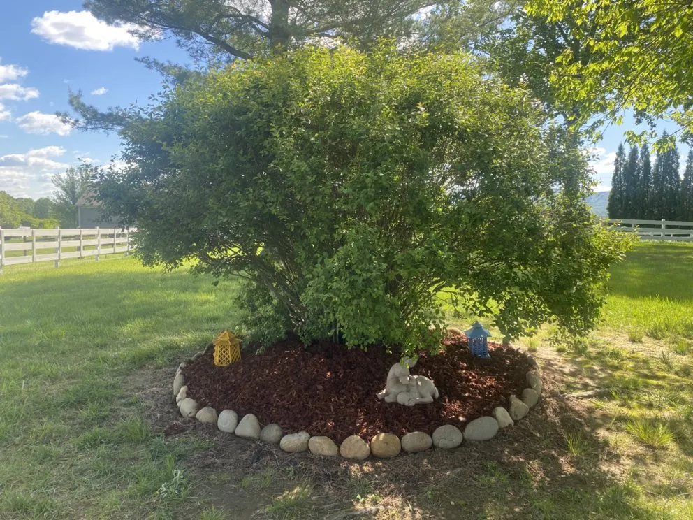 Top-rated lawn mowing service in Bryson City, NC by GH Cleaning and More