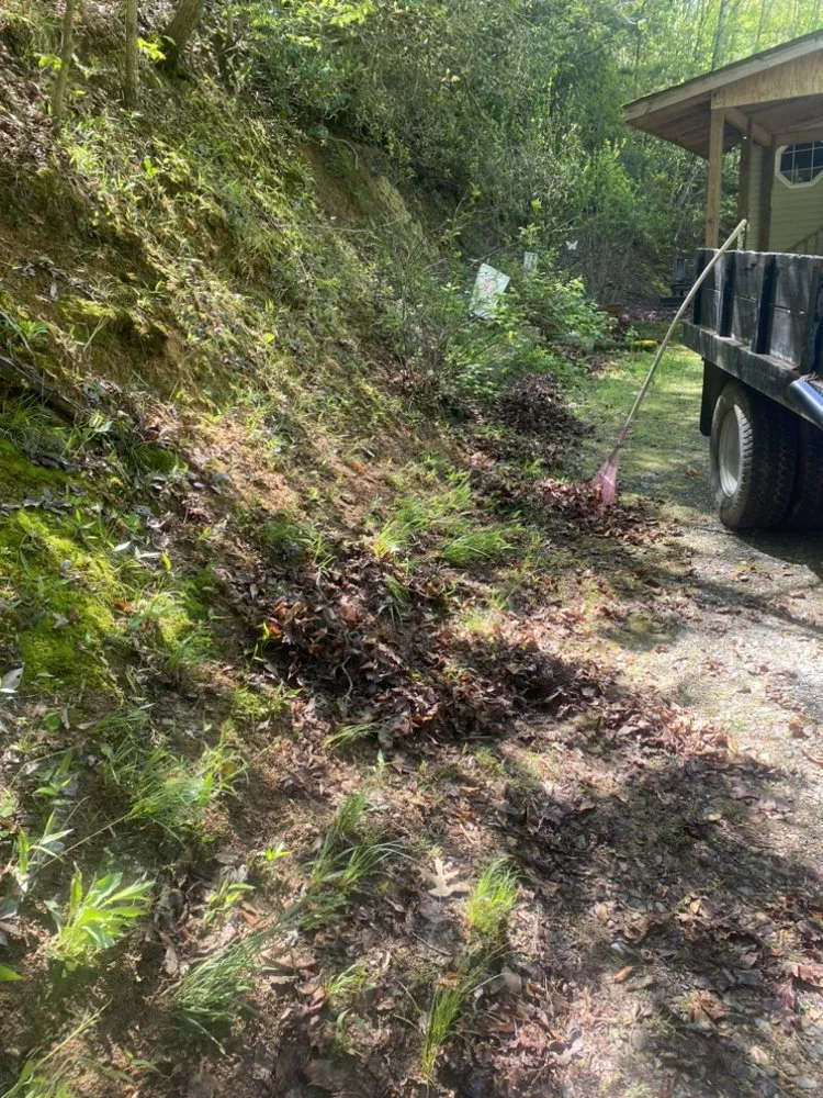 Local yard cleanup service for year-round maintenance across Bryson City, NC - GH Cleaning and More