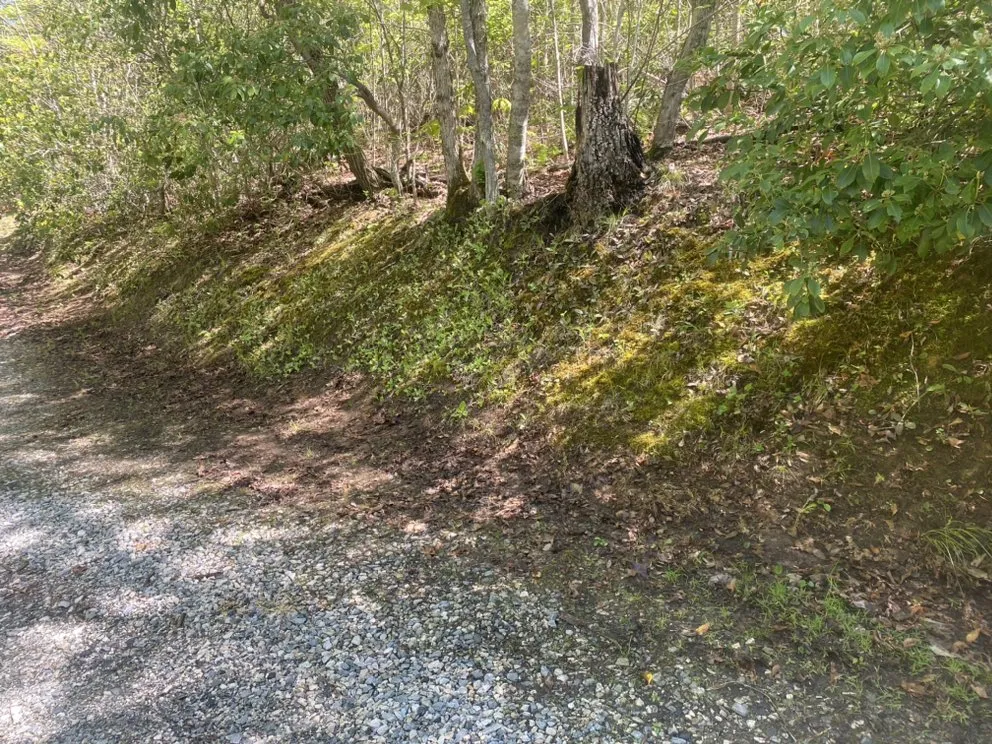 Local yard cleanup service in Bryson City, NC - GH Cleaning and More