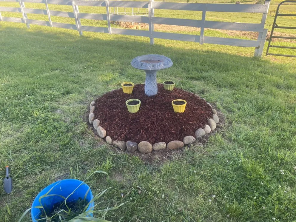 Affordable yard maintenance in Bryson City, NC - GH Cleaning and More