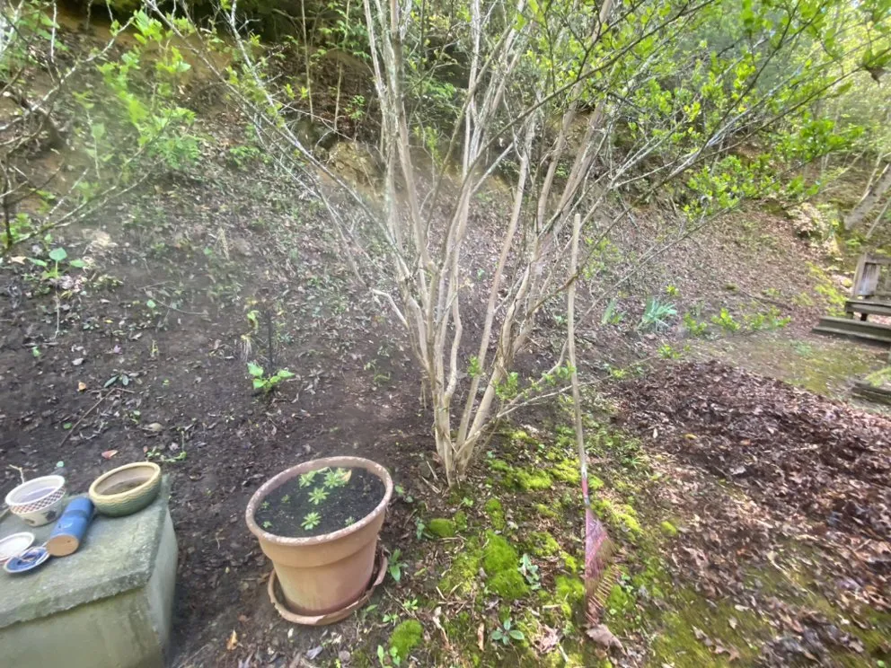 Expert yard maintenance in Bryson City, NC by GH Cleaning and More