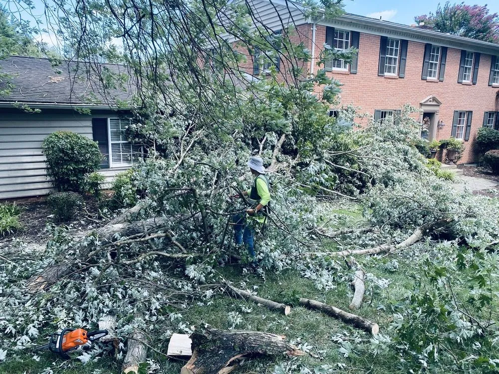 Expert landscape installation experts serving Garrison, MD - G&H Gardens