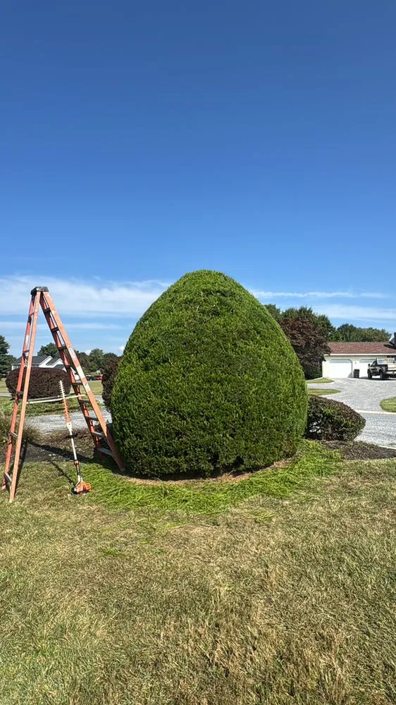 Affordable landscape installation in Garrison, MD - G&H Gardens