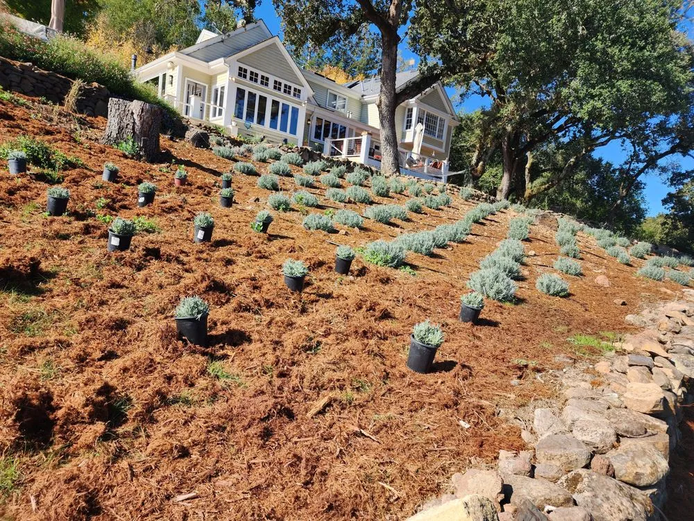 Trusted yard maintenance experts serving Sonoma, CA - GH Landscape & Maintenance