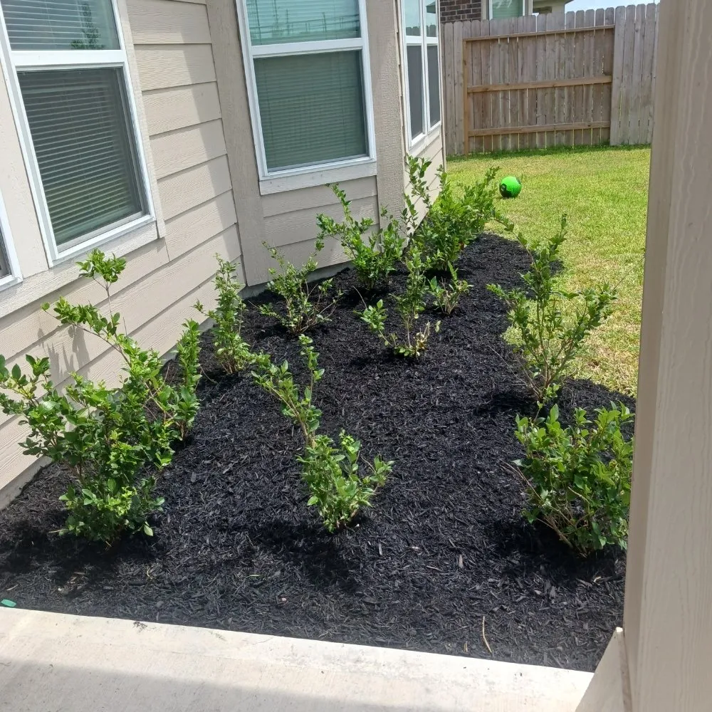 Top-rated landscaping services for outdoor upgrades in Houston, TX by G.H LANDSCAPING