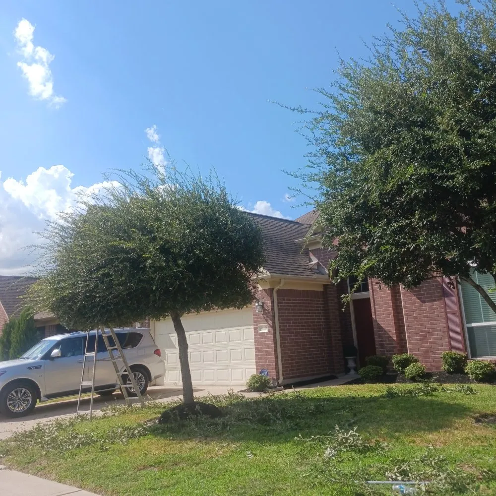 Expert lawn care service with custom design in Houston, TX by G.H LANDSCAPING