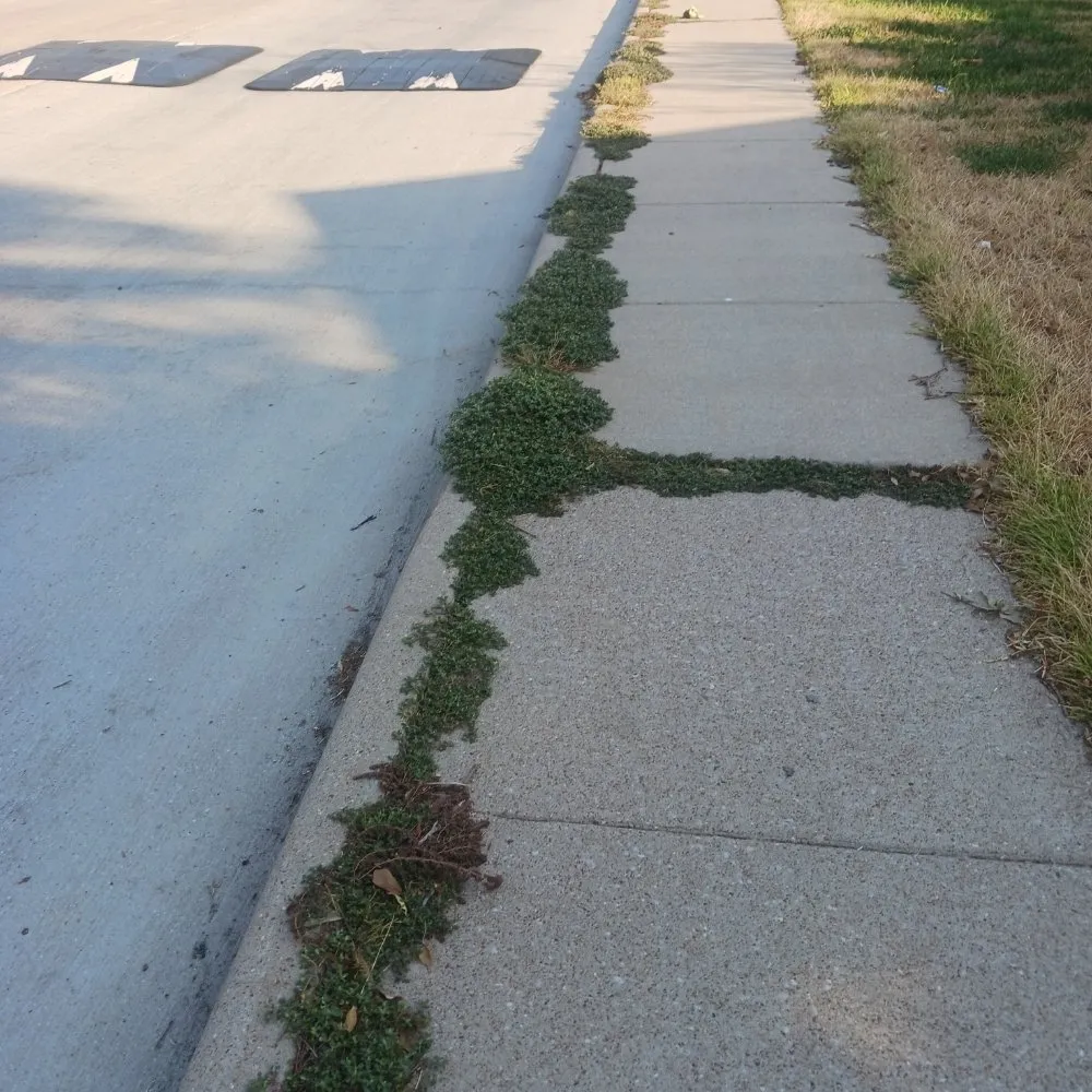 Local landscaping services with custom design across Houston, TX - G.H LANDSCAPING