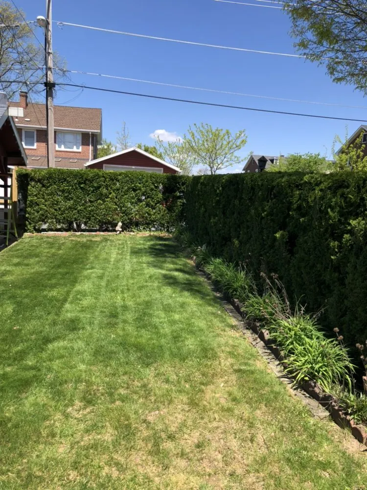 Expert lawn care service experts serving Reading, PA - GH Landscaping