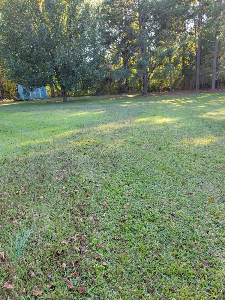 Professional garden landscaping for homes across Clayton, NC - GH Lawn Care