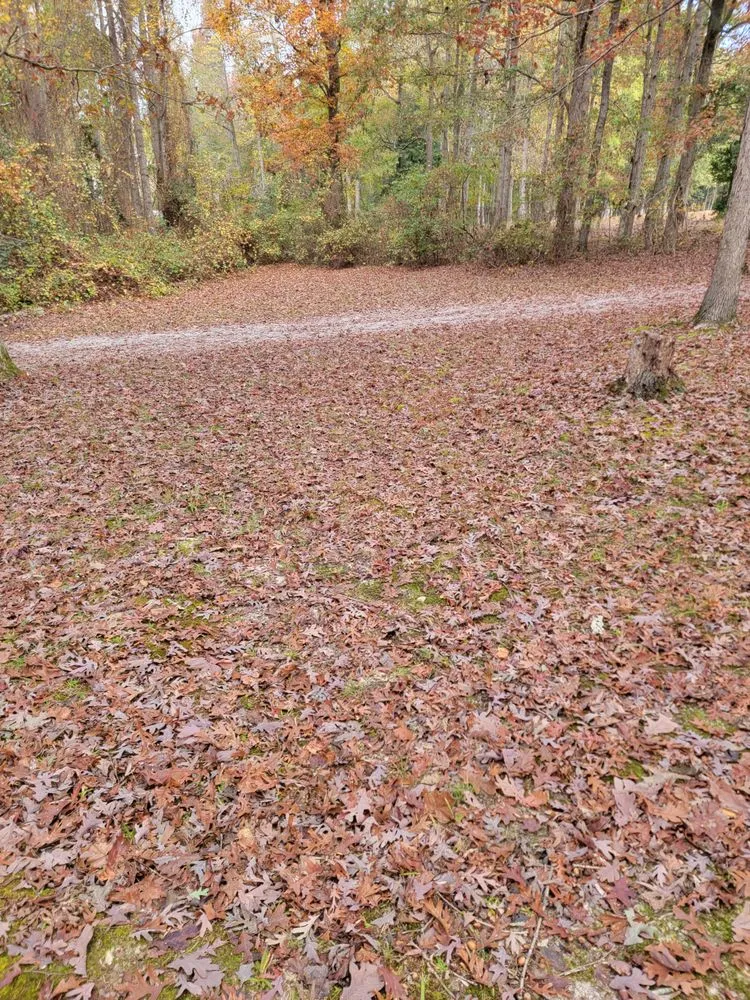 Expert landscape design in Clayton, NC - GH Lawn Care