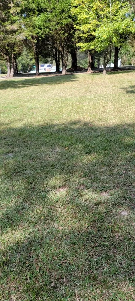 Reliable yard maintenance experts serving Clayton, NC - GH Lawn Care