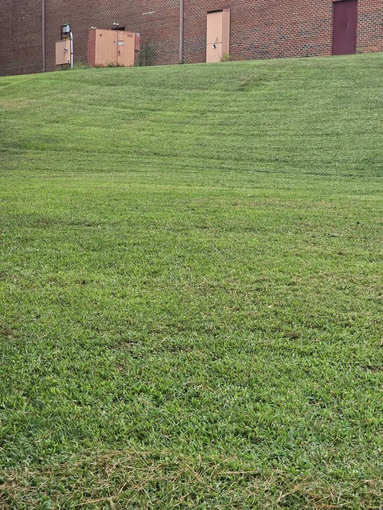 Trusted landscape design in Clayton, NC by GH Lawn Care