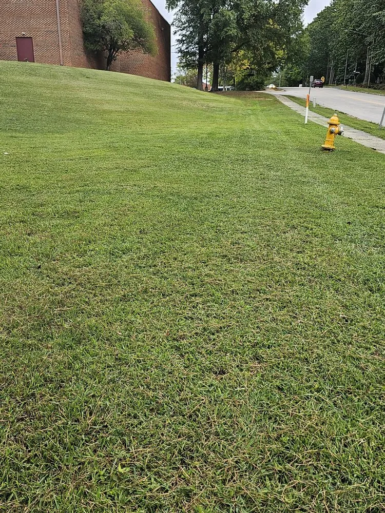 Top-rated yard cleanup service with custom design in Clayton, NC by GH Lawn Care