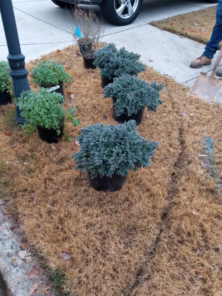 Affordable lawn mowing service in Gainesville, GA - Gh Lawn Serv